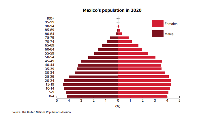 mexico student population