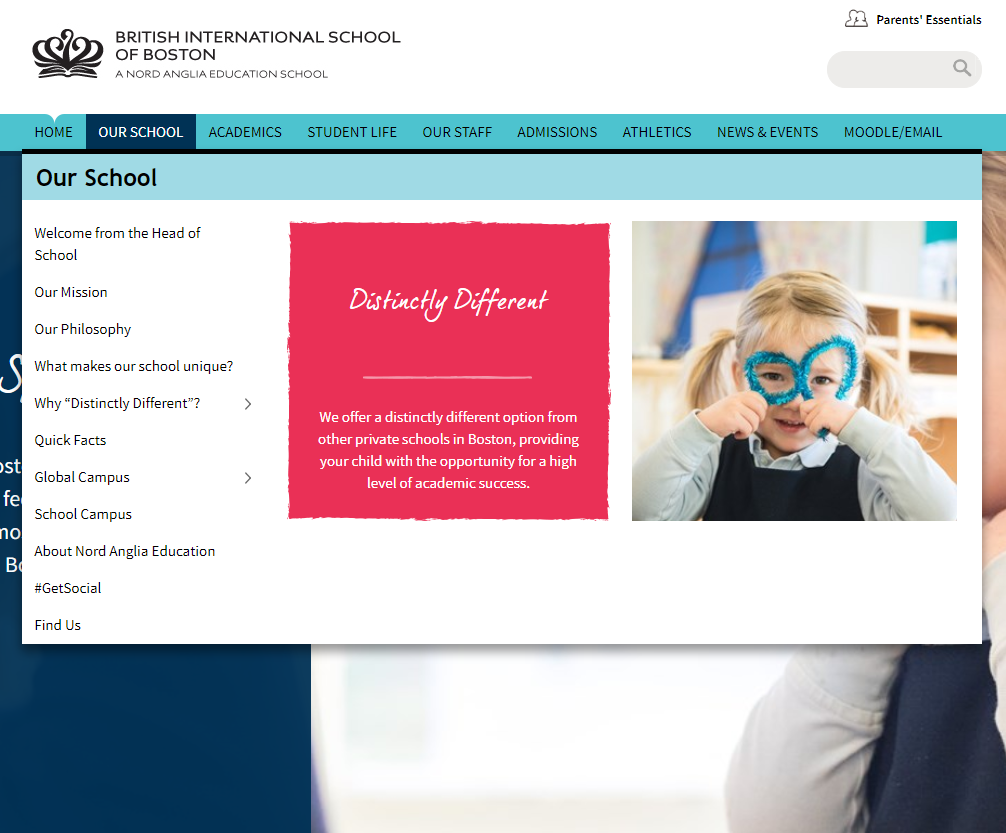 k-12 website design