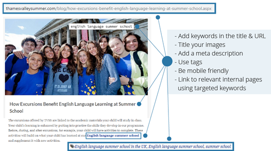 SEO for language schools