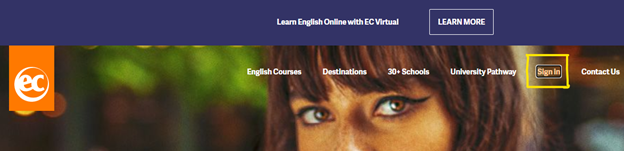 education website design acessibility